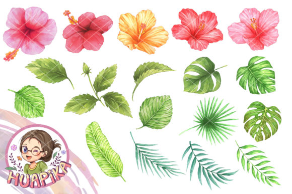 Download Hibiscus Flower and Leaves - Flower Collection