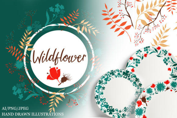 Download Wildflower Illustrations - Flower Collection