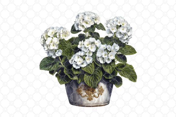 Download Flower PNG, White Hydrangea PNG, 017 - Flower Collection
